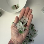 50 Mini Pieces Of Real Surf Tumbled Sea Glass Chesapeake Bay Assorted Colors