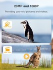 Campark Mini Trail Camera 20mp 1080p Wildlife Hunting Motion Activated No Wifi