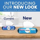 Cottonelle Flushable Wet Wipes For Adults  1 Flip-top Pack  42 Wipes     