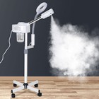 2 In1 Facial Steamer Hot Ozone Spa Salon Beauty Skin Care   5x Magnifying Lamp 