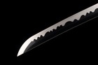 Handmade Katana 1060 Carbon Steel Black Blade Japanese Samurai Sword Full Tang