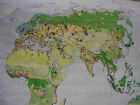 School Wall Map Old World Map World Economy 77 5 8x49 5 8in Vintage 1968