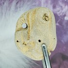 Holey Hag Stone Natural Surf Tumbled Beach Rock Wishing Good Luck Fairy  1609