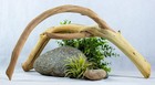 19  Large Manzanita Driftwood Branch Aquarium Aquascape Reptile Terrarium Wood