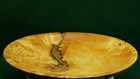 Stunning Elm Burl Wood Platter - 22cm Hand Turned Artistic Centerpiece