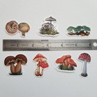 40pcs Vinyl Cute Mushroom Sticker Pack For Journaling scrapbooking phone