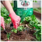 Premier Horticulture 0128p 2 2 Cu Ft Sphagnum Peat Moss