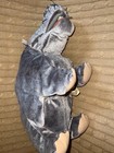 Folkmanis Realistic Gray Hippo Hand Puppet Plush Stuffed Animal Toy - Euc