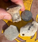       rr     3 Anasazi Pottery Shards From Ne Arizona