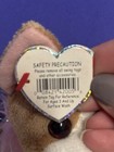 Ty 2 0 Beanie Baby Pico The Chihuahua Dog 6  New Mwmts Plush Stuffed Animal Toy