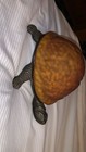 Antique Cast Iron Turtle Light