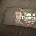 Saul Canelo Alvarez Vs Terence Bud Crawford Ring Magazine Mini Belt  250 Limited