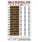Laminated Mandolin Easy Chord   Fretboard Chart Poster Notes Beginner Chords