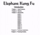 Rare - Choy Lay Fut Elephant Fist Kung Fu   Ten Thousand Elephants Set