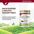 Naturvet Cranberry Relief 120 Count Soft Chew  jar  With Echinacea For Dogs