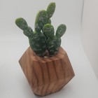 Set Of 2 Artificial Succulent   Cactus Plants Decorative Pots Home Office Decor
