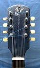 Gibson A-1 Mandolin 1909-10