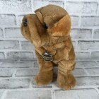 Dan Dee Collectors Choice Shar Pei Bulldog Platinum Plus Plush Dog Wrinkles