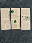 Vintage Masury Paint Sample Brochures Interior   Exterior