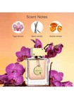 Pink Canyon Eau De Perfume - Hypoallergenic Perfume For Women   Men