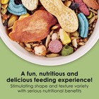 Kaytee Fiesta Mouse   Rat Food  Nutritious And Fun Blend  Supports Dental Health