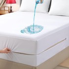 Zippered Encasement Mattress Protector Waterproof Bed Bug Mattress Cover