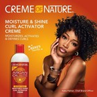 Moroccan Argan Oil Moisture   Shine Curl Cream - 12 Oz