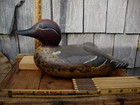 Green Wing Teal Mason Decoy Factory Detroit Michigan Antique Lures