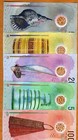Set Maldives  5-10-20-50-100 Rufiyaa  2015-2018  P-a26-26-27-28-29 Polymer Unc