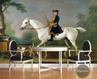 3d Handsome Horse 7933na Wallpaper Wall Murals Wall Paper Wall Print Mural Romy