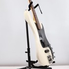 Fender Standard Series 4-string Precision Bass Guitar W  Soft Case  pz1004785 