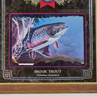 Vintage 1992 Heileman s Old Style Beer Brook Trout Fish Bar Mirror Sign 01131