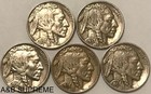  5  Buffalo Nickel Xf-au Extremely Fine-about Uncirculated Estate Fine