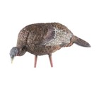 Avian-x Lcd Feeder Hen Turkey Hunting Life-like Decoy  Multi Color  avx-avx8007