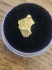 Pure Gold Nugget Alaska Yukon Bc Natural Small Rock Hand Picked Raw Fine  57g 
