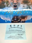 Michael Phelps Gold Medalist Autographed 8x10 Photo W coa