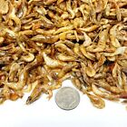 5oz Red Shrimp - Freeze Dried 1 2  To 1  1 4  For All Tropicals  Koi  Turtles 