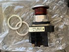 Allen-bradley 800t-fxp16ra1 30 Mm Illuminated Push-pull-nib