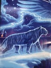 Trans Siberian Orchestra Winter Tour 2022 Official Tour Book Poster Included