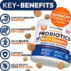 Probiotics For Dogs - 170 Dog Probiotics Chews - Digestive Enzymes   Prebioti   