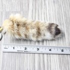 1 Bobcat Tail Key Ring  1858  Taxidermy Keychain Tassel Bag Tag