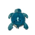Cloud B Tranquil Sea Turtle Teal Night Light Music Wave Soother Sound Works