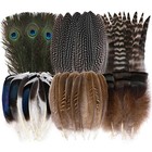 48pcs Natural Pheasant Feathers Spotted Feathers Turkey Feathers 6 Styles Diy Us
