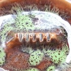 Large Mcm Vintage Drip Glaze Ashtray Japan Ceramic Green Brown 