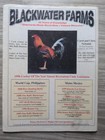  Vintage  grit And Steel  Poultry Gamefowl Magazine 2003 Jun June Issue 