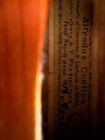 Violin Labelled Alfredus Contino 1912