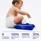 Coterie Baby Soft Wipes  12 Packs  672 Count  Unscented Wipes    