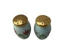 Z s    Co Bavaria Floral Handpainted Blue Eggshell Salt   Peper Shakers 3   