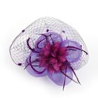 Feather Women Fascinator Hat Flower Hair Clip Church Wedding Party Headwear