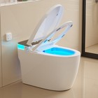 Smart Toilet With Adjustable Heated Seat Dryer Auto Open close Night Light